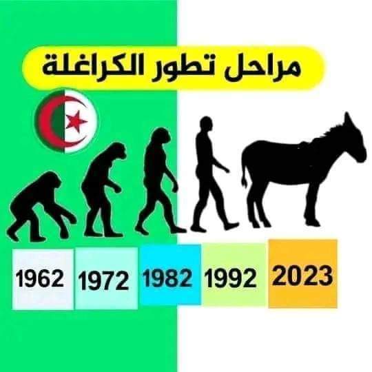 m_rsayl's tweet photo. @RodiLina @KoubaReda 🤣 🤣 🤣 🤣 🤣 🤣 🤣 2024
من عندك https://t.co/0bceYRybtT