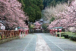 lureaa's tweet photo. ❤藤川天神  

【鹿児島県・薩摩川内市】 https://t.co/Ie4k33kkgj
