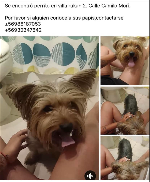 yatse87's tweet photo. #Incendio #Olivar #Viña #Ayuda https://t.co/ur1vCtPkXX
