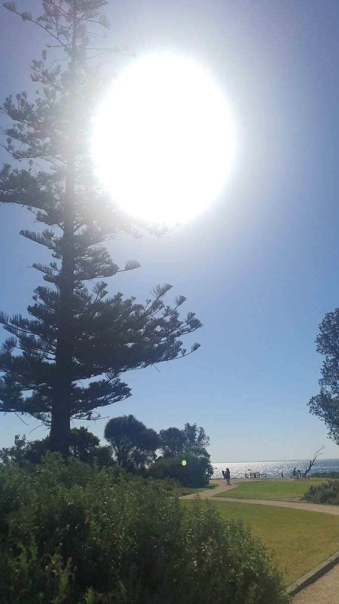 Mr_PVC_MA's tweet photo. @strava
#running #getfit #getintoshape #heat #sweat
Not even started the run and sweating already https://t.co/jHreay1peh