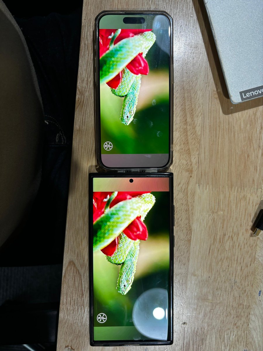 Maaz Perwez tweet media