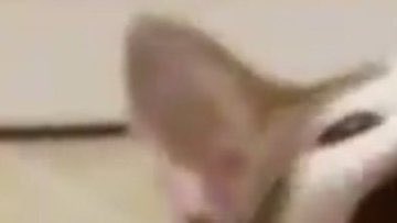 dailytaehyunie's tweet image. 