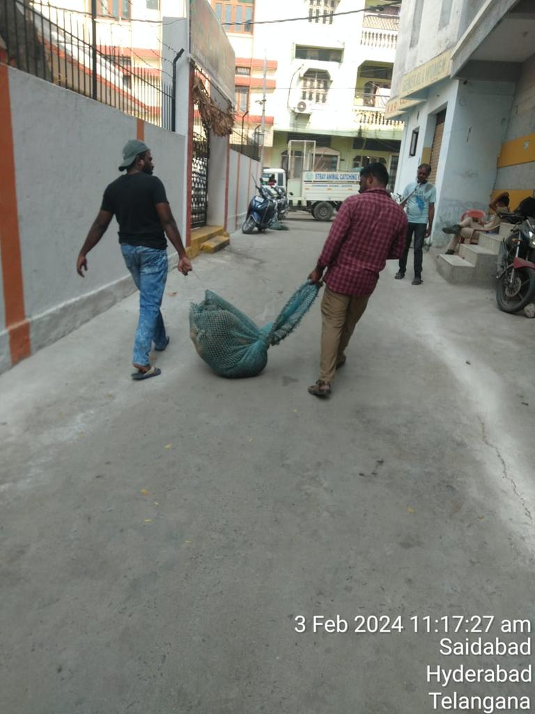 CrzOfficer's tweet photo. @Jameel555678 @GHMCOnline @cvo_ghmc @amjedmbt Dear citizen Attended your complaint and caught 5 dogs from your area and shifted to ACC chudibazar for ABC/ARV https://t.co/kzg7Z0kgKT