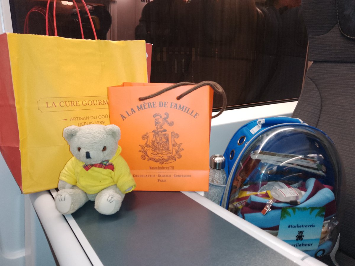Tarliebear's tweet image. And sadly with that, my amazing trip to @visitparisreg is over as I prepare to head back to @StPancrasInt on the @Eurostar with all my shopping #tarlietravels #travelbytrain #flyless @lacuregourman #alameredefamille