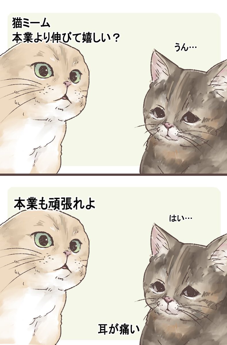 猫ミーム GFZFjxrbkAAf2GD.jpg