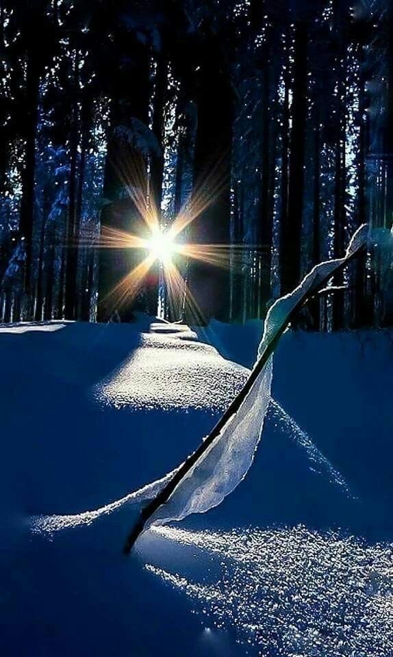 Morning sun! ☀️ 
#photos #photography #nature #morning #sunrise