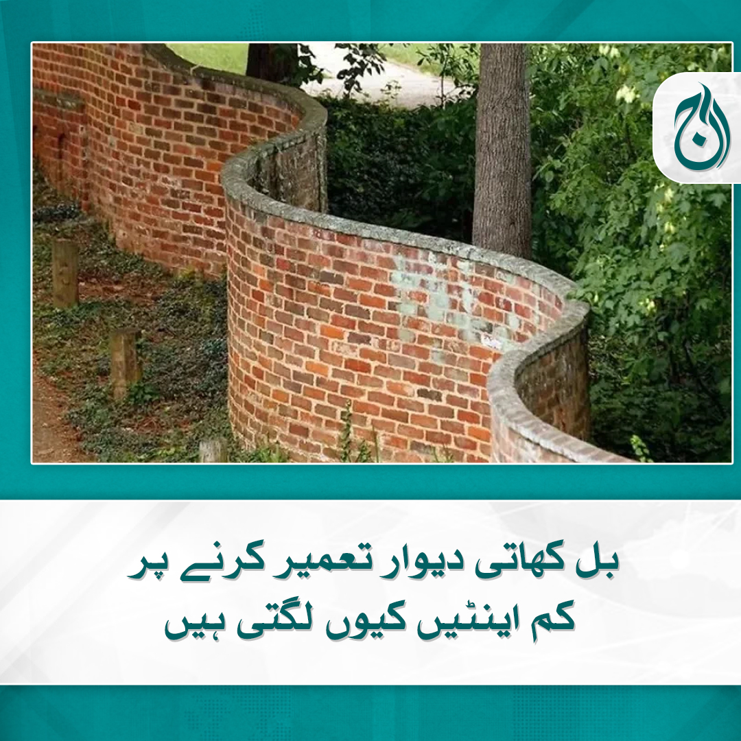 Aaj_Urdu's tweet photo. بل کھاتی دیوار تعمیر کرنے پر کم اینٹیں کیوں لگتی ہیں
جنہیں یقین کرنا مُشکل لگے وہ وجہ جان لیں
مزید پڑھیے https://t.co/Wp3JzDUCZV
#AajNews #WallConstruction #Zigzag #Construction https://t.co/sgiW4f0vc1
