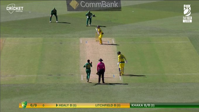Picks it on the up... 📹 Credits: Twitter/cricketcomau