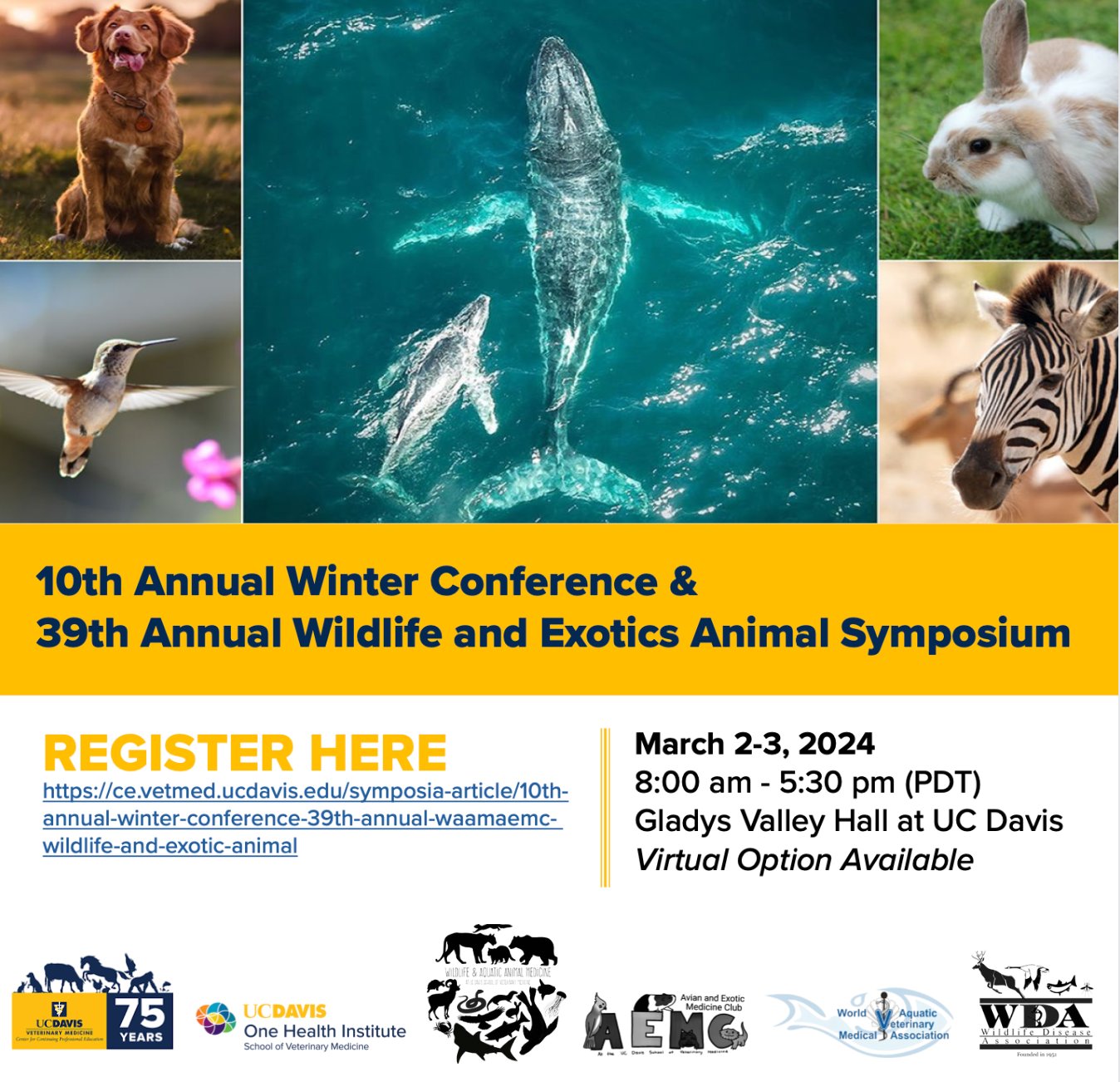 Veterinary Conference March 2025 Schedule Dasie Emmalyn