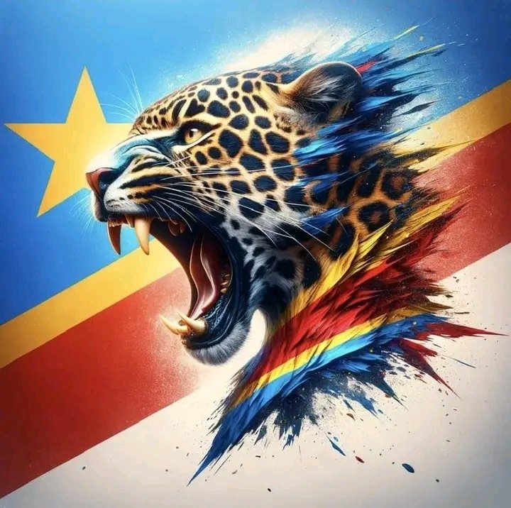 barhmukenge's tweet photo. BRAVO LES LEOPARDS. VOUS REDONNEZ L'IMAGE DU CONGO DANS LEQUEL NOUS CROYONS . LE CONGO DE NOTRE GÉNÉRATION https://t.co/YrORAMgMYq