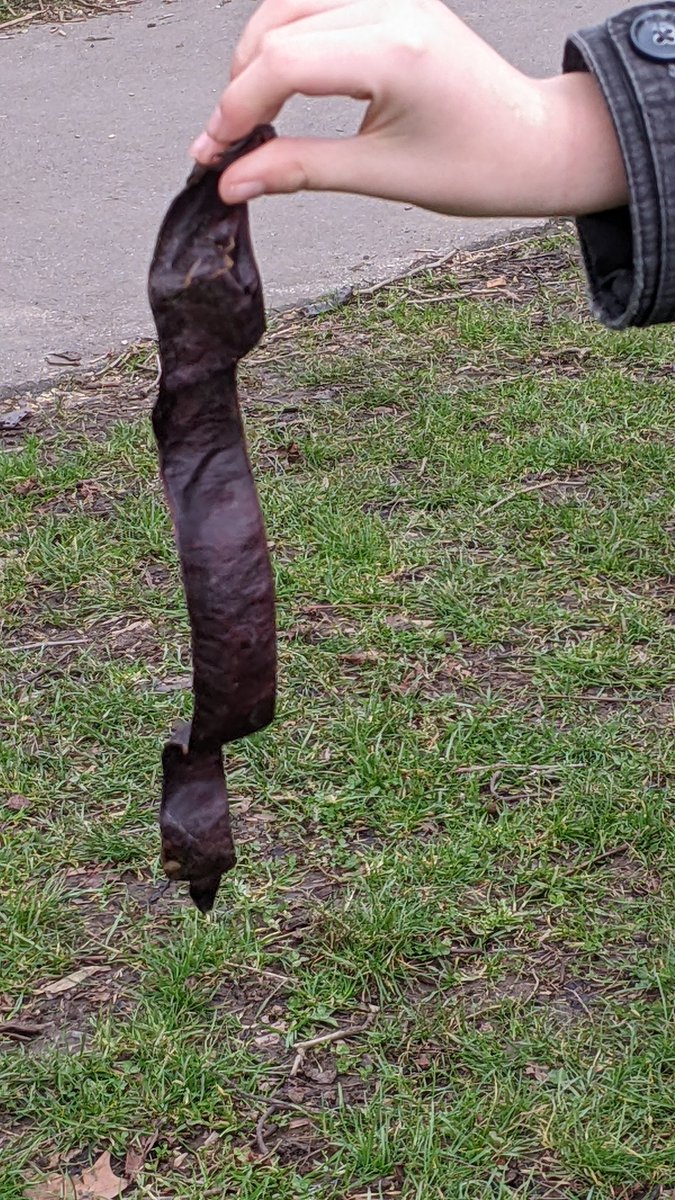 Fiona Bell tweet media