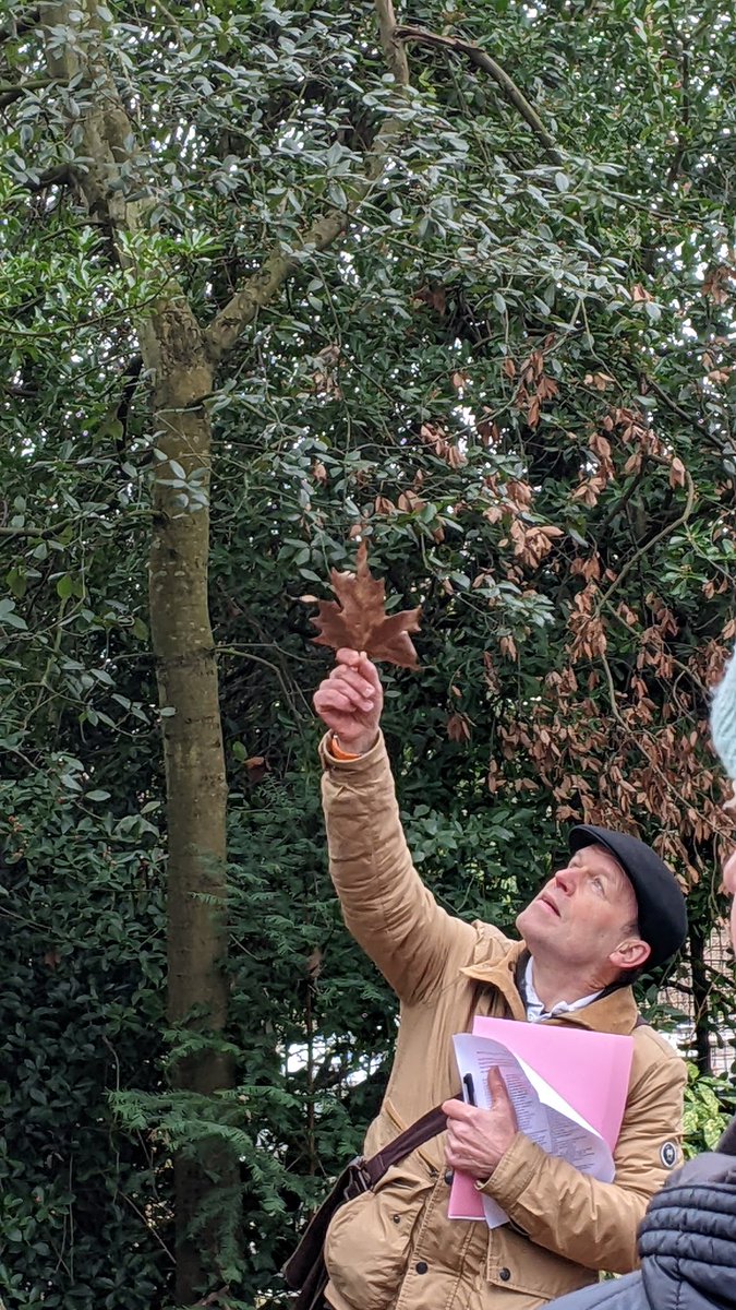 Fiona Bell tweet media