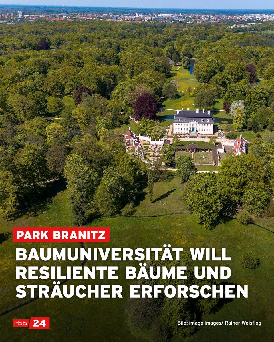 rbb24's tweet photo. Historische Parks wie in #Branitz (bei Cottbus) oder #Sanssouci in #Potsdam sind vom #Klimawandel bedroht. An der neuen #Baumuniversität Branitz soll ab 2025 an robusten Gehölzen geforscht werden. https://t.co/A3SECZ6FDY https://t.co/QlbTEnN8GR