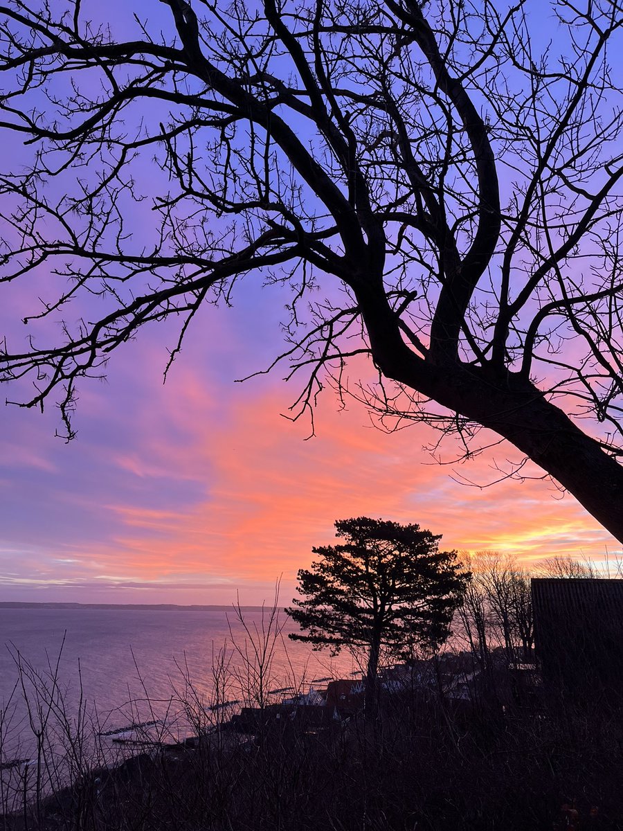Formen er nede, men udsigten fejler intet på morgenens løbetur.