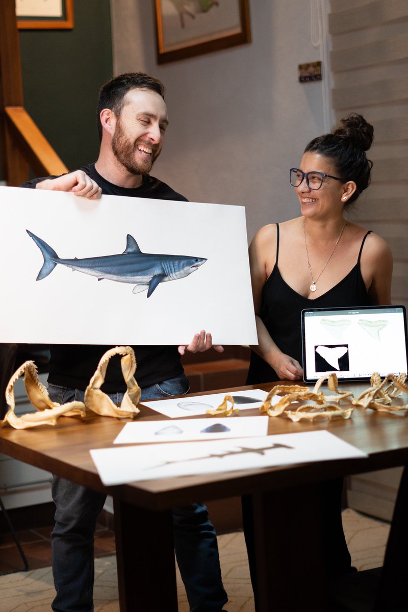 Noemí Cevallos tweet media