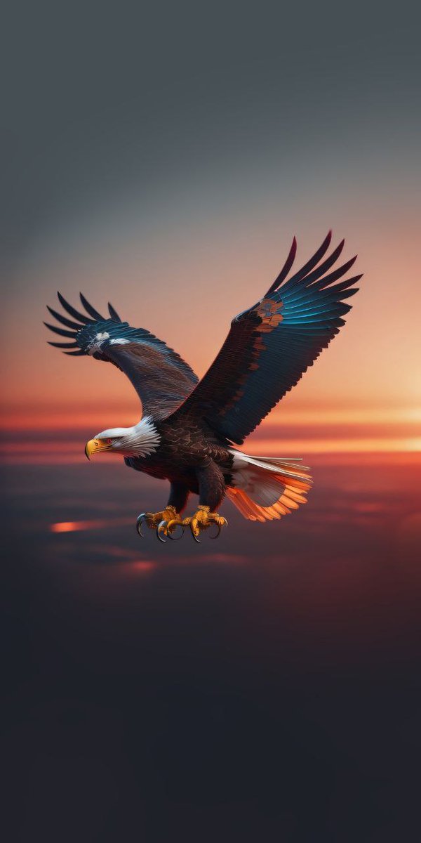 Datahubd's tweet image. Wallpaper Alert 🚨  

#SuperEagles