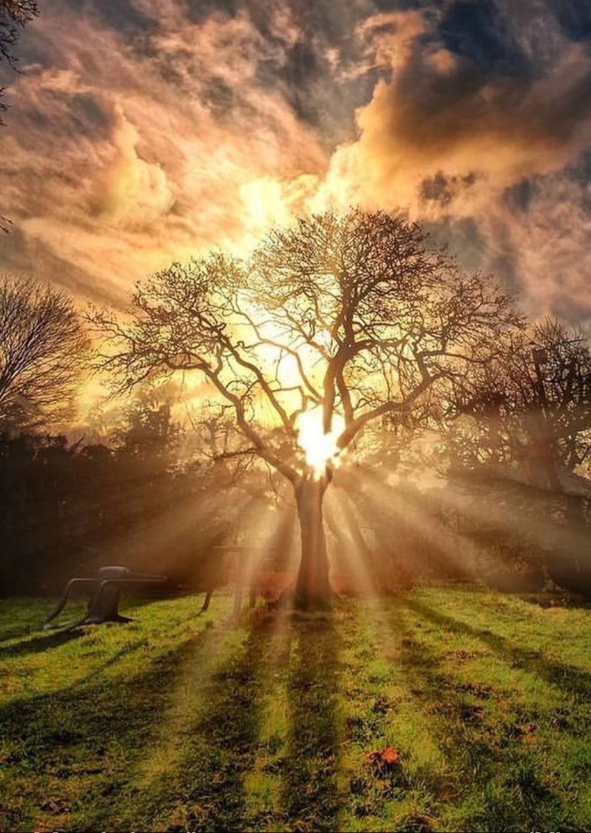 Beautiful day 🌹 happy weekend