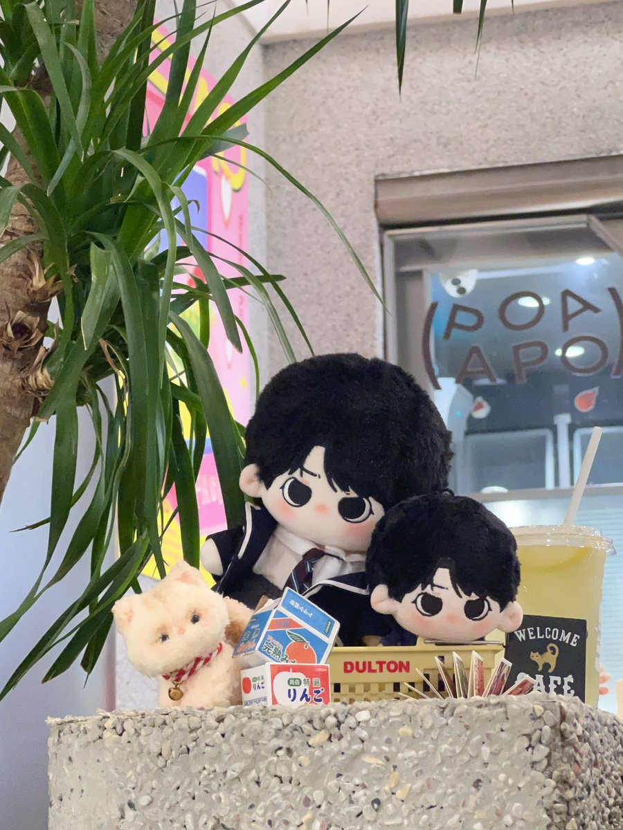 karaage1218 tweet media