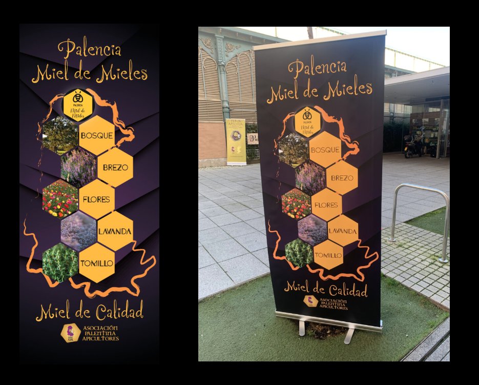 Diseño y producción de RollUp para la marca #Palencia Miel de Mieles | drestudio.es