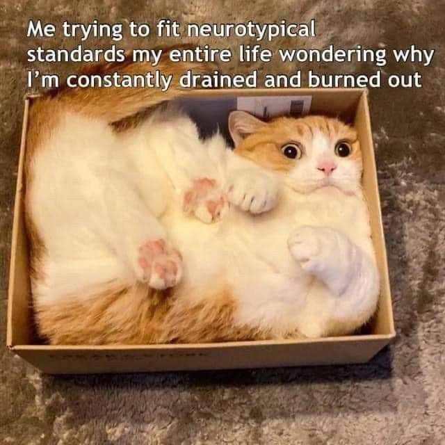 CandzBrad's tweet photo. It's the weekend. It's ok if you're an exhausted neurospicy potato today (and every day) https://t.co/MXVhxg01H4