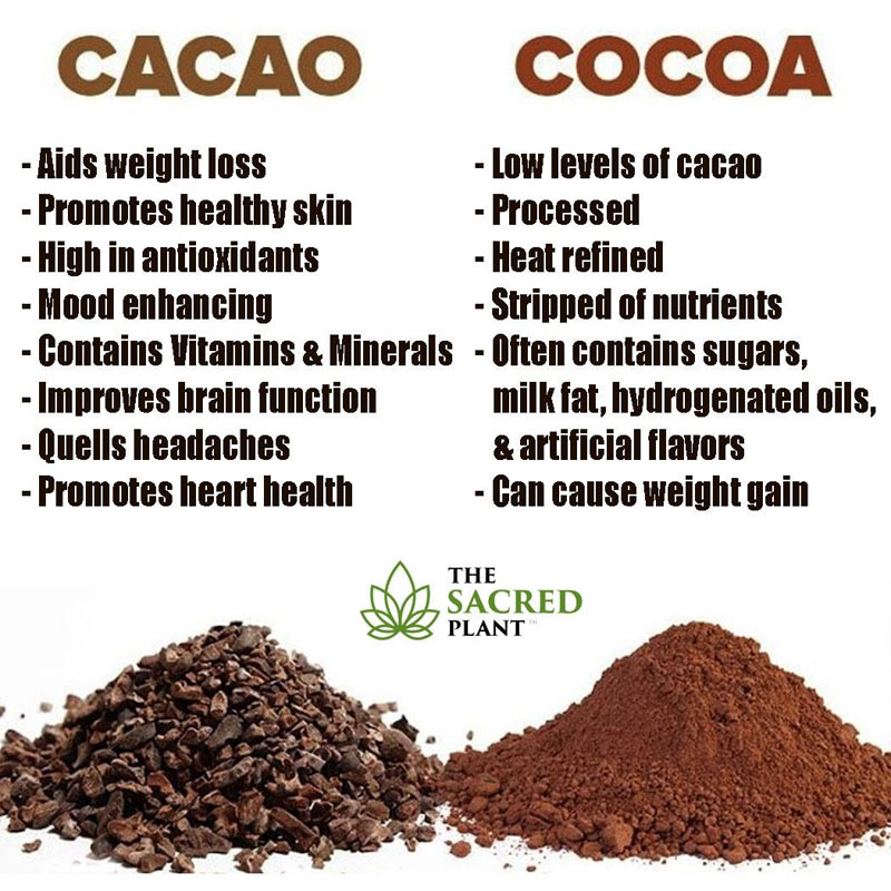 OrganicLiveFood's tweet photo. 80% of Americans have magnesium deficiency and raw cacao beans are an amazing source of magnesium   ☕️ https://t.co/iTUUw5rfJF 

Cacao beans can increase the level of neurotransmitters and serotonin in brain and help to reduce fatigue, stress and anxiety