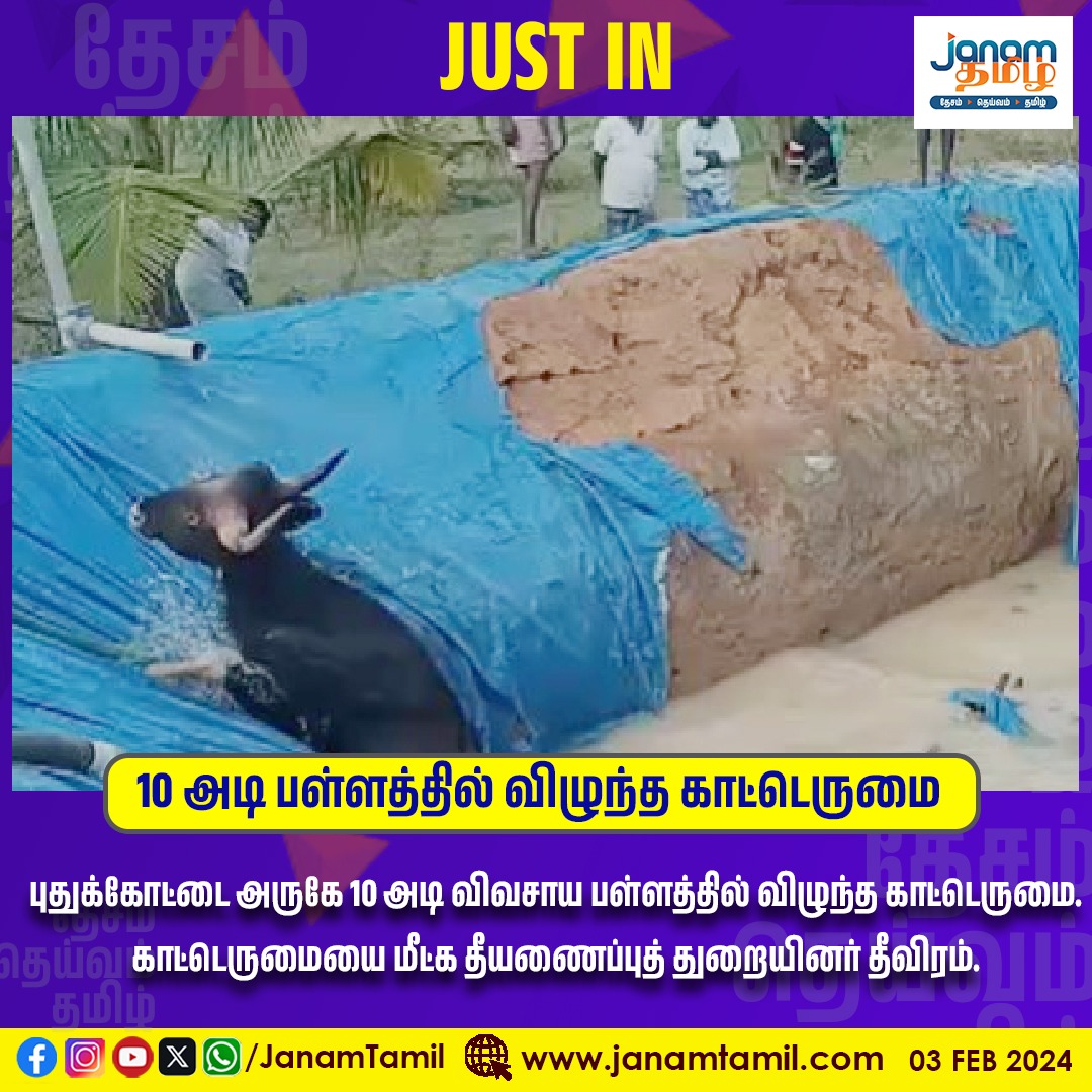 TamilJanamNews's tweet image. 10 அடி பள்ளத்தில் விழுந்த காட்டெருமை

#puthukottai #holes #mammels #janamtamil