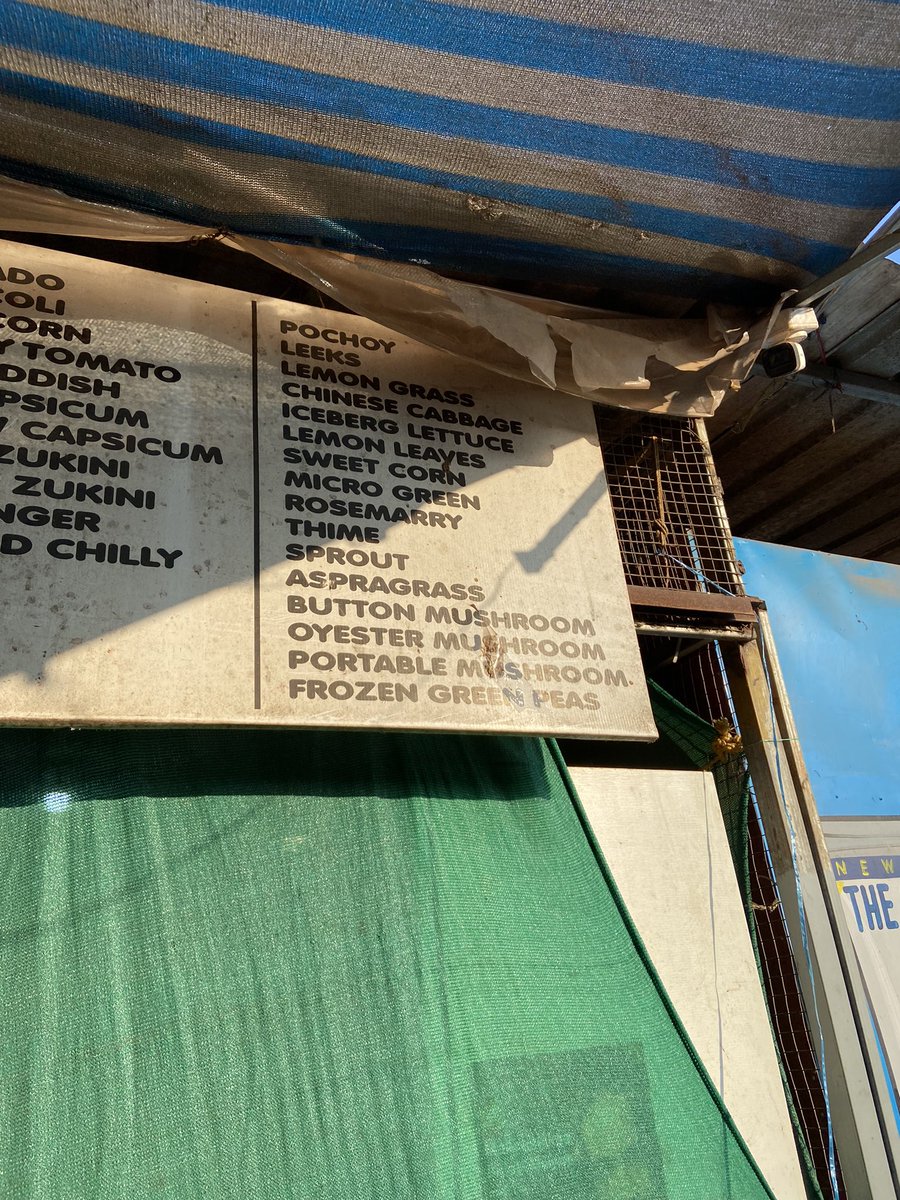 Bro what you smoking these days?

Asparagrass