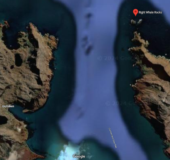 SGHT (@southgeorgiaht) on Twitter photo "A huge number of Humpback Whales" is how #SGHT supported student Henry Slessor described an encounter off Right Whale Rocks, enabling the @HungryHumpback research team to do "ā¦lots of great scienceā.
<a href="/HungryHumpbacks/">Ellen Chenoweth</a> research supported by #SGHT #FOSGI
<a href="/basnews/">basnews</a> <a href="/GovSGSSI/">Government SGSSI</a> "A huge number of Humpback Whales" is how #SGHT supported student Henry Slessor described an encounter off Right Whale Rocks, enabling the @HungryHumpback research team to do "ā¦lots of great scienceā.
<a href="/HungryHumpbacks/">Ellen Chenoweth</a> research supported by #SGHT #FOSGI
<a href="/basnews/">basnews</a> <a href="/GovSGSSI/">Government SGSSI</a>