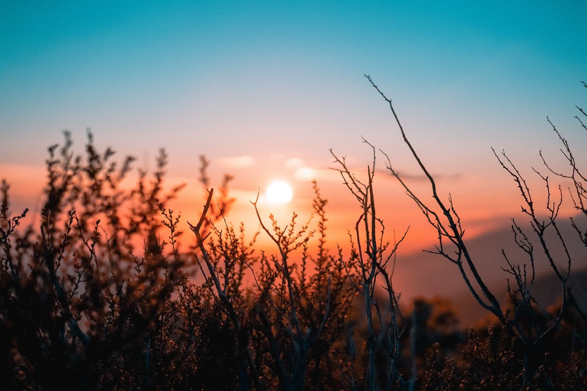 HeathChurch's tweet photo. 'The steadfast love of the LORD never ceases; his mercies never come to an end; they are new every morning; great is your faithfulness.' Lamentations 3:22-23
#VerseoftheDay https://t.co/Sm5BrKQgvP