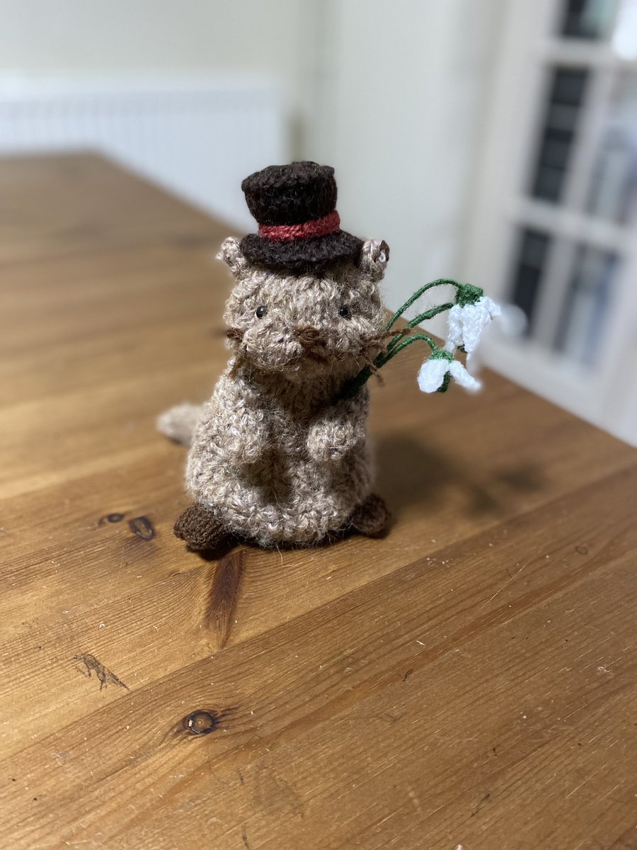 Sachiyo Ishii tweet media