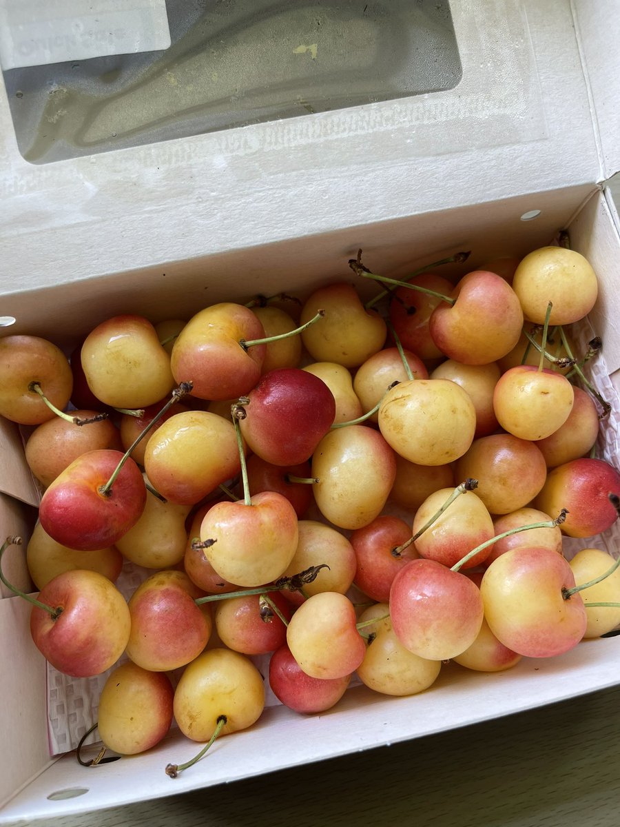 food twitter is too good i want in