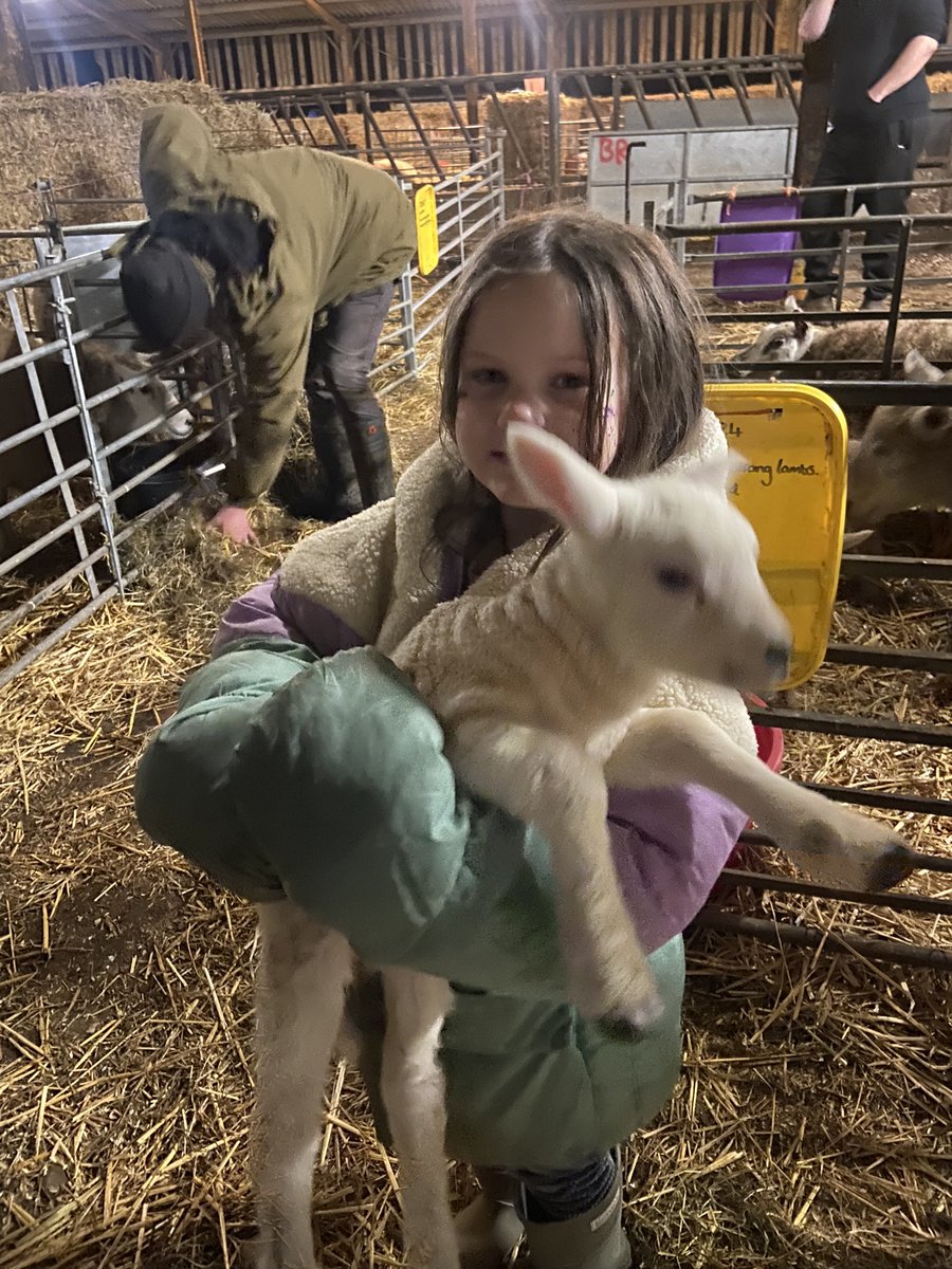 CayKendall tweet media