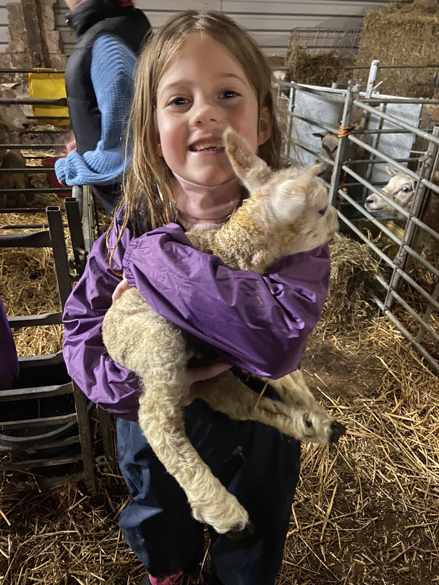 CayKendall tweet media