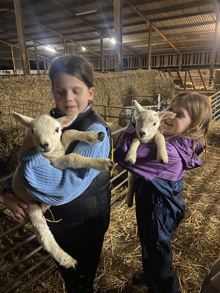 CayKendall tweet media