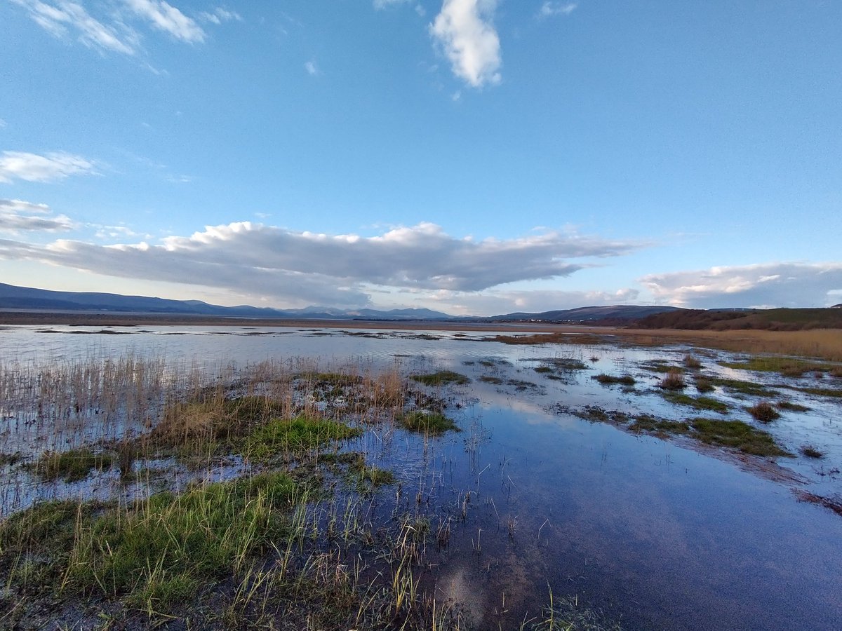 Neil Forbes tweet media