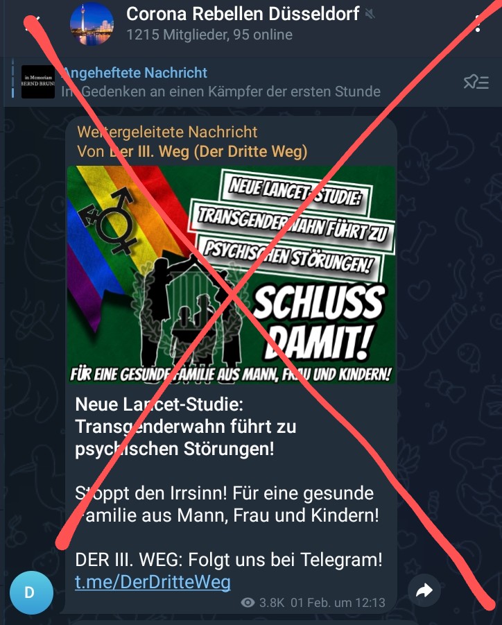 KoeAntifa161's tweet photo. Bei den #CoronaRebellenDüsseldorf wird nun dem offen nationalsozialistischen #IIIWeg gehuldigt, incl #Transhass.
#AfDsindFaschisten https://t.co/UGXaRpmopO