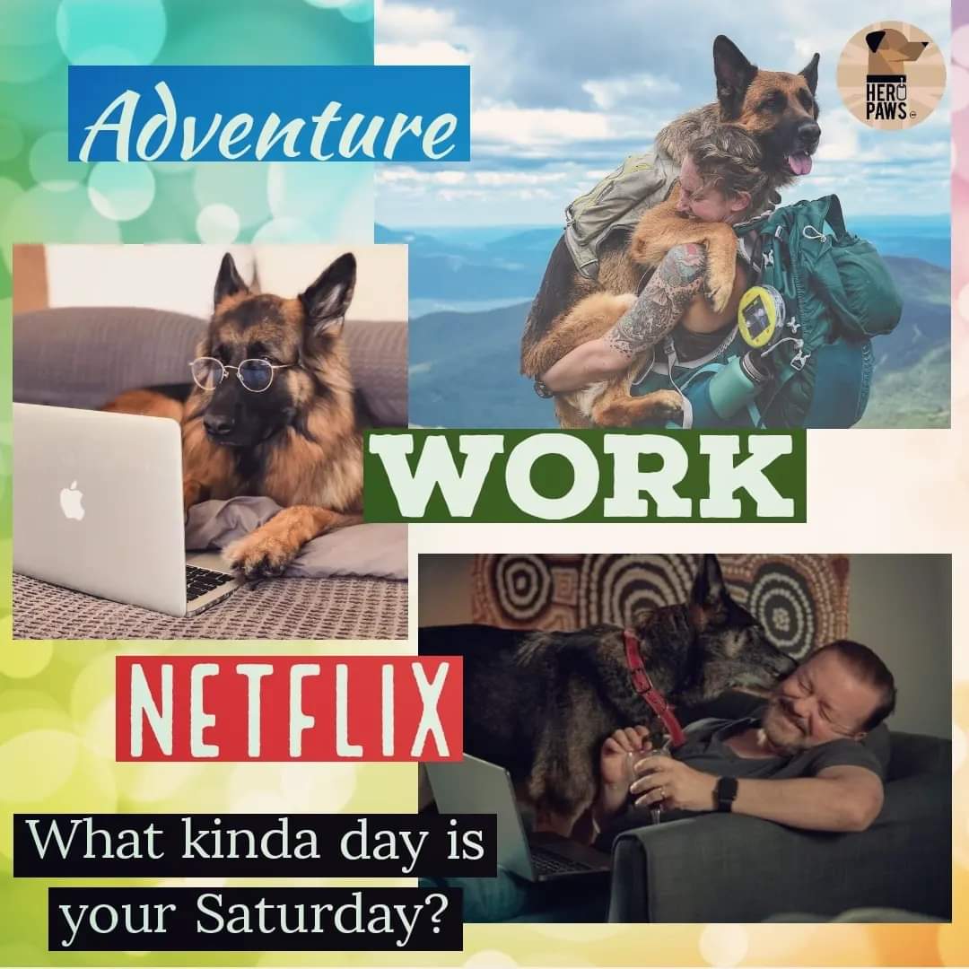 Morning everyone 👋
What kind of day does your Saturday hold for you ??? 🐾👣
#weekend #dogsofx #veterans #vibes #paws #saturday #SaturdayMotivation #work #adventure #home #Netflix