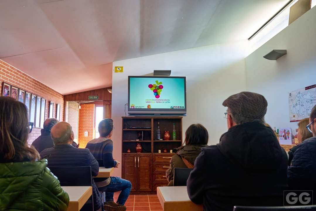 Pardevalles's tweet photo. 💬 Visita de la Academia Leonesa de Gastronomía, Guía Gourmet de León, y @CRDOLEON al @museovaldevimbr donde Rafael Alonso, nuestro enologo, les guía haciendo una explicación detallada del museo.
.
.
#pardevalles #prietopicudo #albarin #doleon #bodegapardevalles #leonesp https://t.co/lbMevNXth8