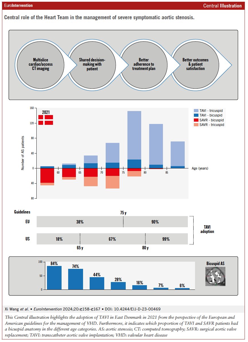 In a cohort of severe AS patients, a multidisciplinary Heart Team approach led to two-thirds undergoing TAVI, aligning with recent guidelines recommending individualized treatment decisions. TAVI was preferred for older, more comorbid patients, showing comparable short-term