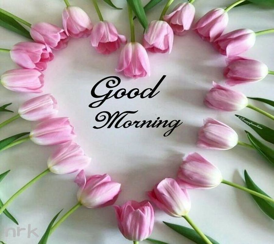 dr.Hencz Ildikó. (@henczildiko) on Twitter photo 