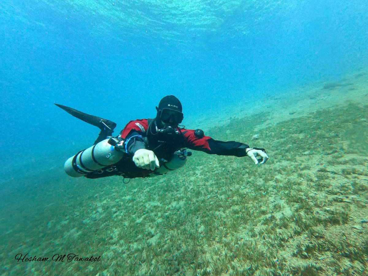 tec_instructor's tweet image. Always Ecstatic to glide SideMount
#dive 🐬 #scubadiving 🤿 
#dahab 🐫🌴🐫
#Egypt 🇪🇬
#tdi #tecdive ♥️
@SDITDIERDI 
#sidemount
#צלילה #אילת 
#スキューバダイビング
#акваланг #Tauchen 🐬
@BARESportsUK 
#course #Training
#スキューバ #drysuit