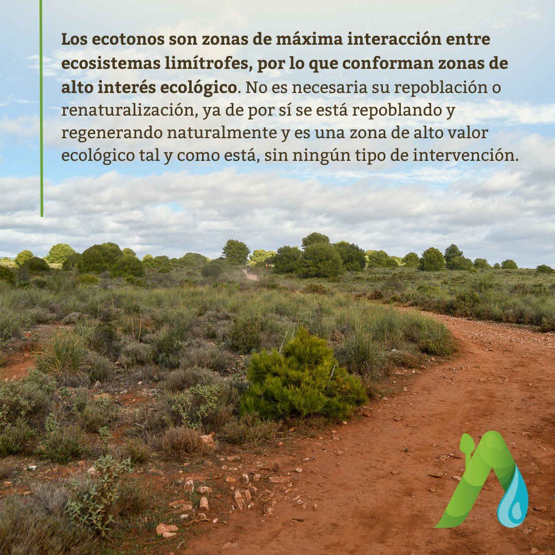 patrucarrasco's tweet photo. Acude a la manifestación contra el macroproyecto #trascendence que quiere destruir el Llano de #Matagallar (Hábitat de Interés Comunitario) y sus reservas hídricas: 👇♻️💧
10 de febrero a las 17h en #Coín (Málaga). @mesadelaguacoin https://t.co/254BUzn2Dc