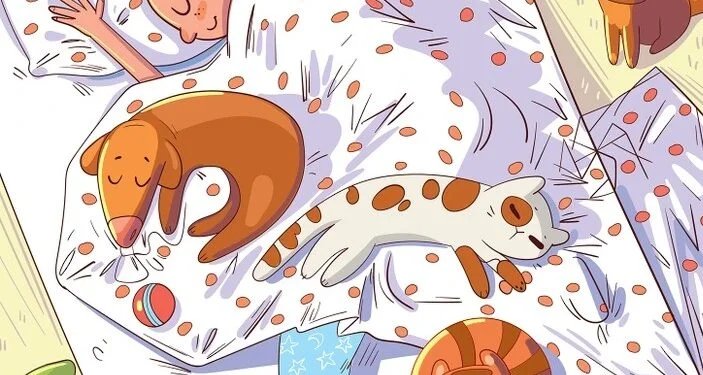 chilli_tech's tweet image. Can you see the Bumblebee? Prove Your Eyesight with This Bedroom Optical Illusion!

See here - techchilli.com/puzzles/can-yo…

#puzzle #brainteaser #logicalimplication #optical