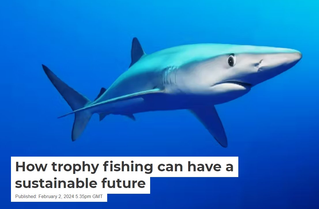 'How trophy #fishing can have a sustainable future'
theconversation.com/how-trophy-fis… Our new article in <a href="/ConversationUK/">The Conversation</a> to complement our recent paper on #TrophyFishing (onlinelibrary.wiley.com/doi/10.1002/aq…) &amp; highlight some of the positive partnerships between anglers &amp; scientists🐟
