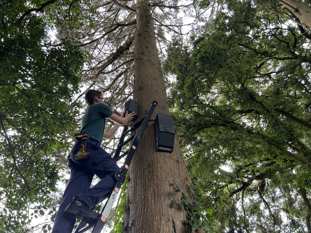 Who wouldn't enjoy a short break in a tree house!🌳🦇

These are the temporary homes for the Brown Long-eared Bats during the roof works at @Fotahouse.

Read more here 👉irishheritagetrust.ie/sustainable-pa…

#biodiversity #heritageforlife