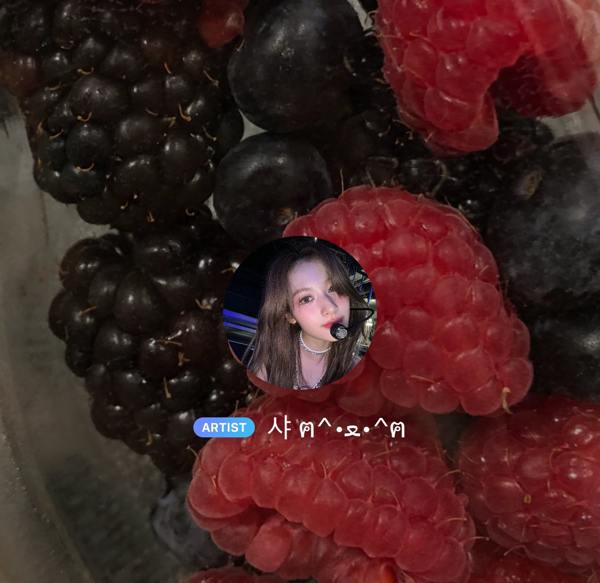 shashabbl's tweet photo. 🐹🖊 240203

SN changed her name to “ 샤ฅ^•ﻌ•^ฅ “ and deleted her old bio https://t.co/9GZioLojSi
