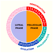 osemagnum's tweet photo. MENSTRUATION.

Facts about Menstruation...

-Salutation to all females (those with womb) who see their monthly flow. It isn't easy.

-Menstruation is defined as the weeping(crying) of a disappointed uterus. Yes, It weeps when there isn't pregnancy that month🙏😌

Open thread... https://t.co/Yb4q3mcmPZ