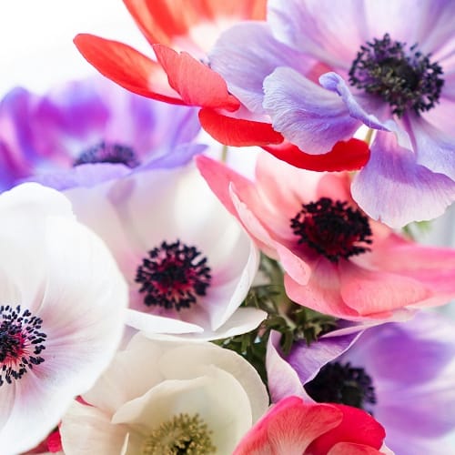 On Sunday 10th March 2024 we celebrate Mothering Sunday...
This year why not treat her to the gift of not having to cook, wash up or doing the shopping to say Thank you for always being there...
#motheringsunday #mothersday #thankyou #mum