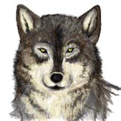 #新しいプロフィール画像