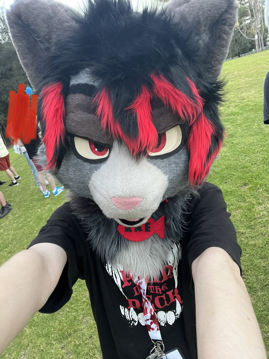 VAMPIMORPH's tweet photo. mieow https://t.co/te0GnohhmU